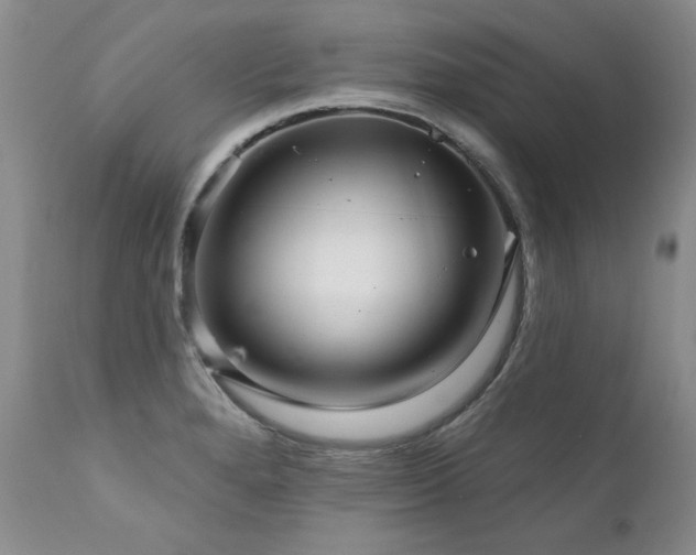 X0000111931280200907271304