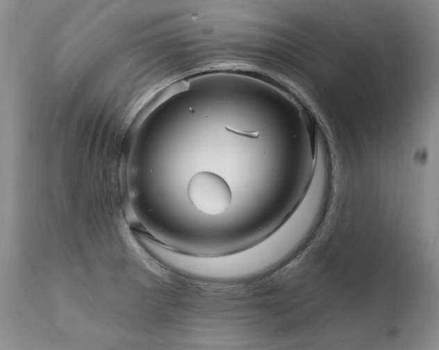 X0000111931281200907271304