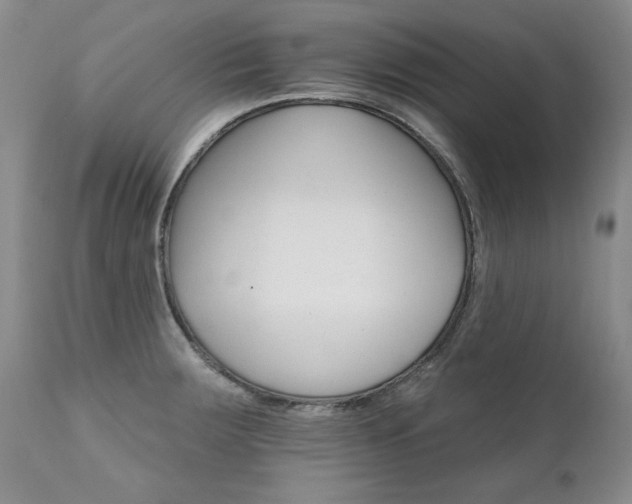 X0000111931283200907271304