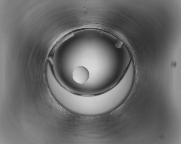 X0000111931284200907271304