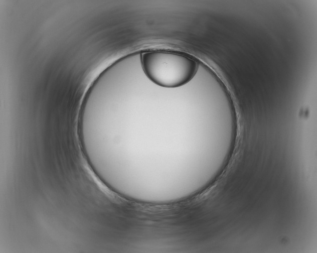 X0000111931285200907271304