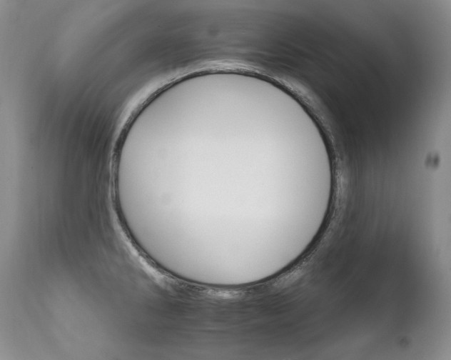 X0000111931286200907271304