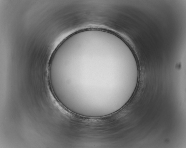 X0000111931287200907271304
