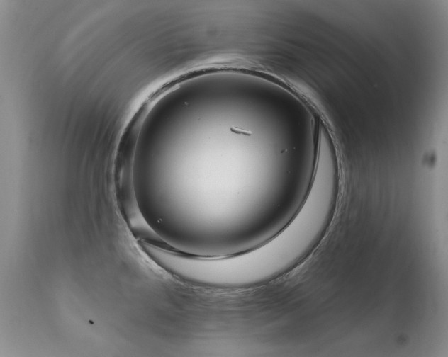 X0000111931288200907271304