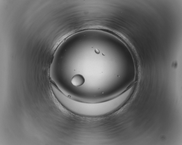 X0000111931289200907271304