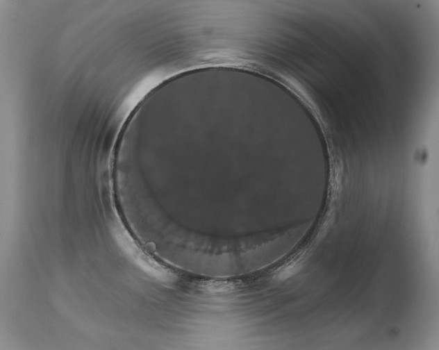 X0000111931291200907271304