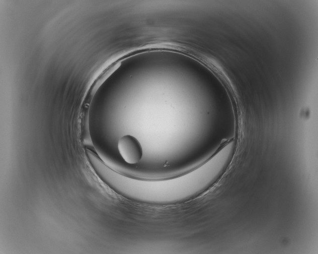 X0000111931292200907271304