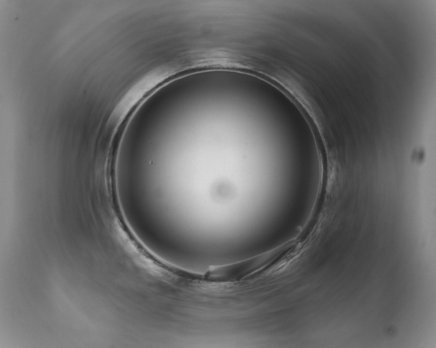 X0000111931293200907271304