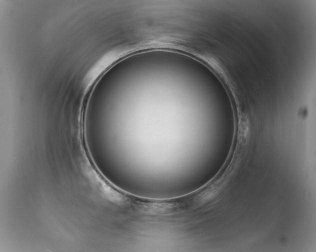 X0000111931294200907271304