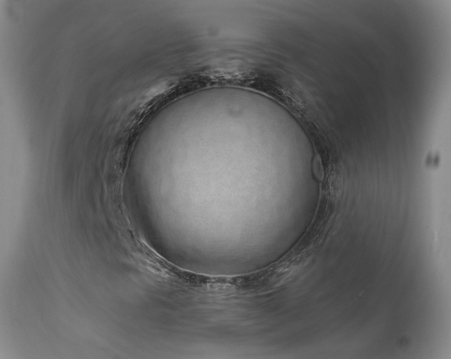 X0000111931297200907271303