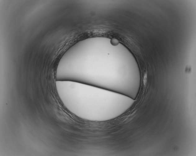 X0000111931299200907271303