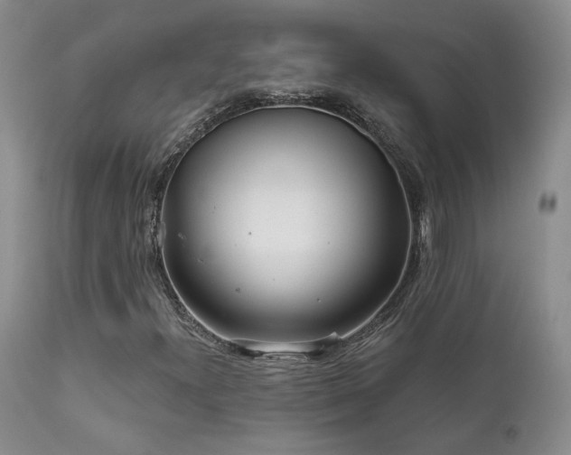 X0000111931300200907271303