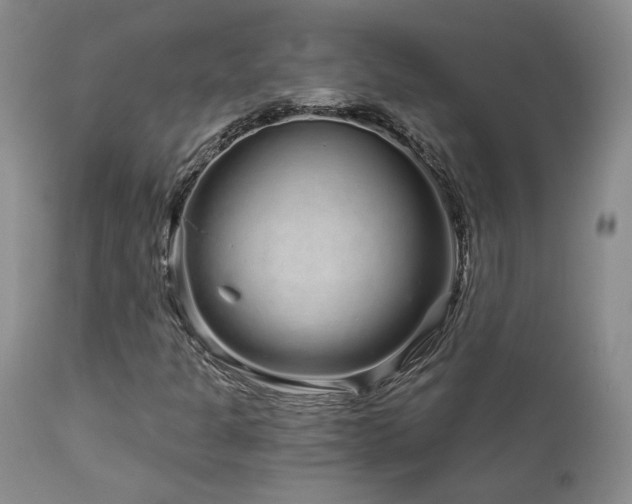 X0000111931301200907271303
