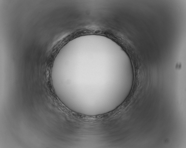 X0000111931302200907271303