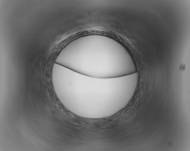 X0000111931303200907271303