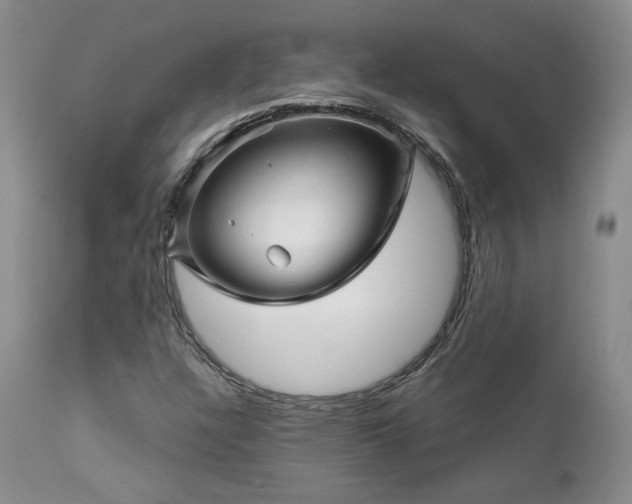 X0000111931304200907271303