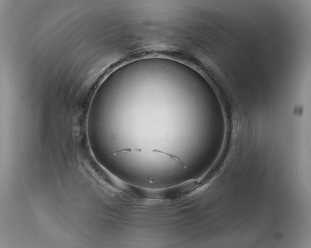 X0000111931305200907271303