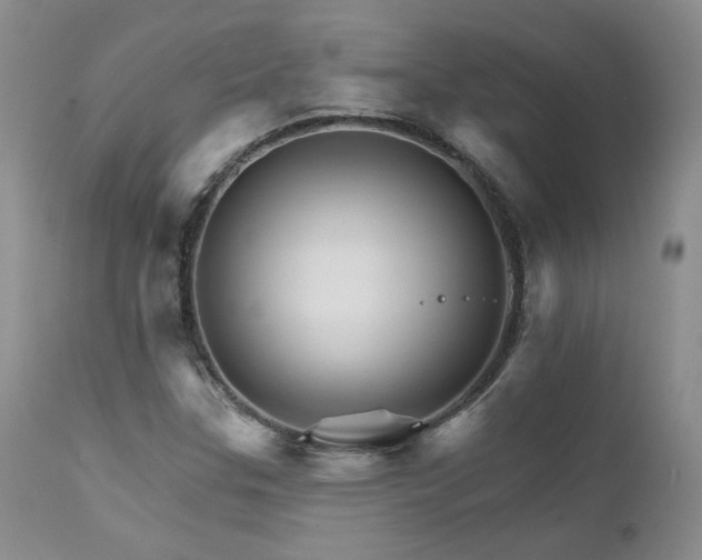 X0000111931307200907271303