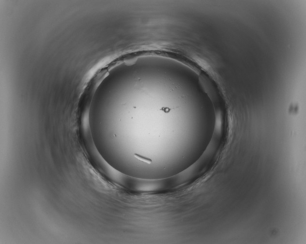 X0000111931308200907271303