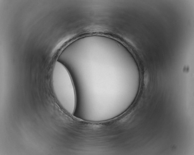 X0000111931309200907271303