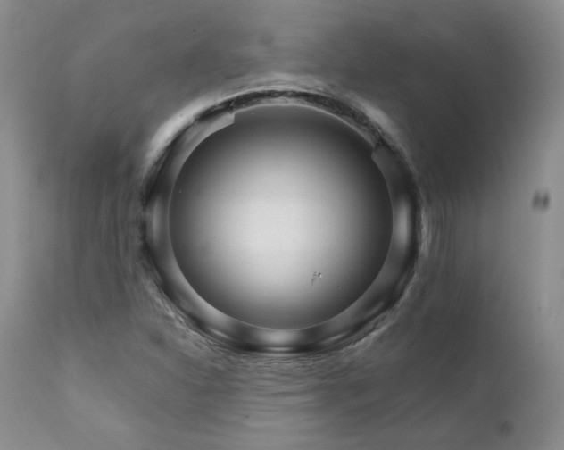 X0000111931310200907271303