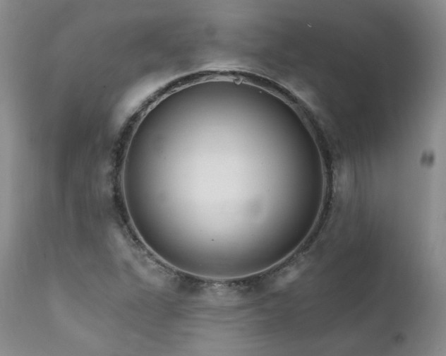 X0000111931311200907271303