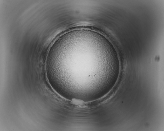 X0000111931313200907271304