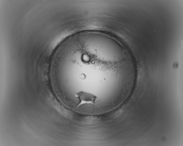 X0000111931314200907271304
