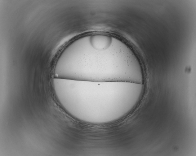 X0000111931315200907271304