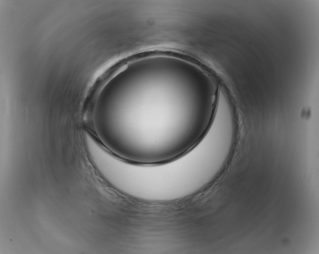 X0000111931316200907271304
