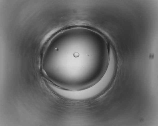 X0000111931317200907271304