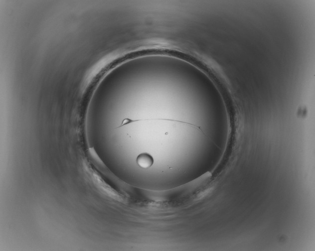 X0000111931318200907271304