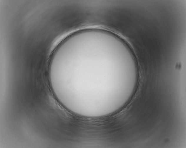 X0000111931319200907271304