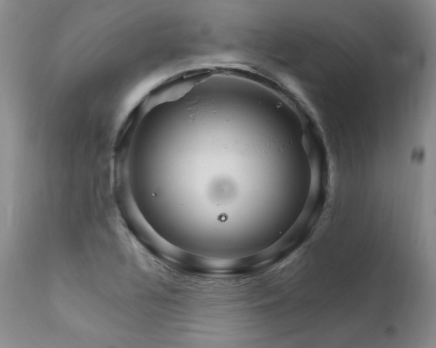 X0000111931320200907271304