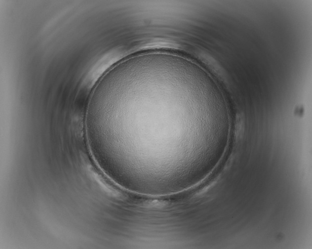 X0000111931321200907271304