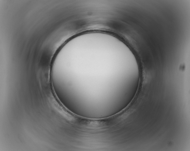 X0000111931322200907271304