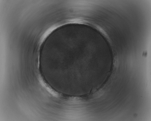 X0000111931323200907271304
