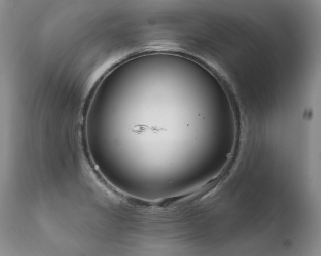 X0000111931325200907271304