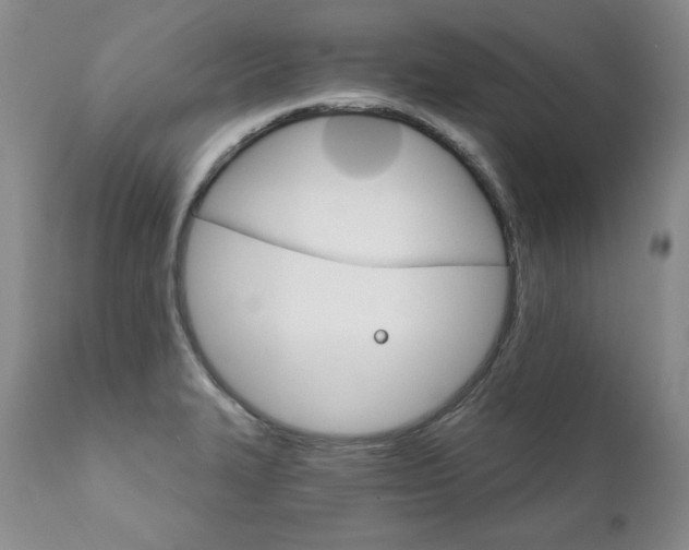 X0000111931327200907271304