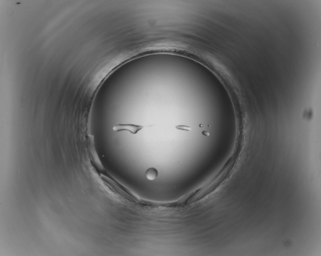X0000111931329200907271304