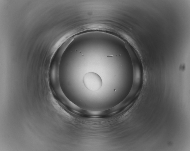 X0000111931330200907271304