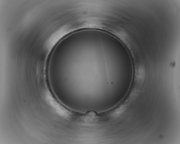X0000111931331200907271304