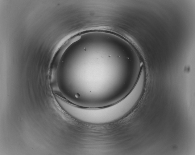 X0000111931332200907271304