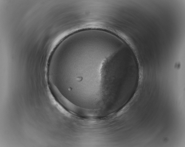 X0000111931334200907271304
