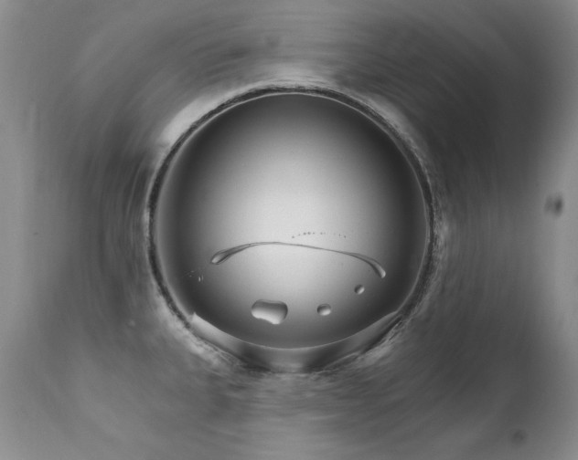 X0000111931335200907271304