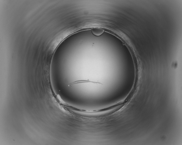 X0000111931337200907271304