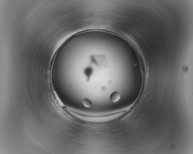 X0000111931340200907271304