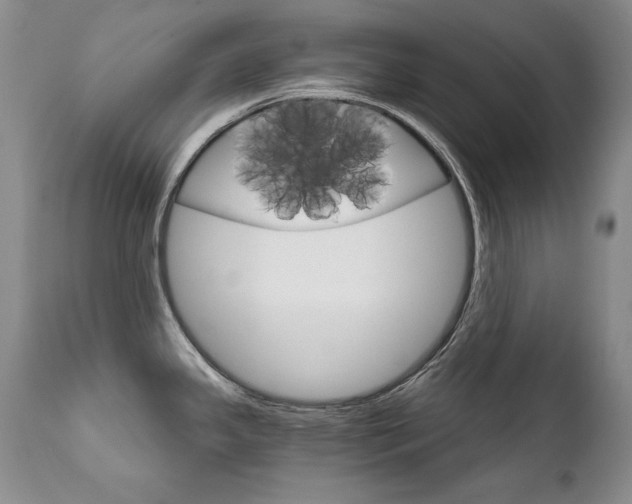 X0000111931341200907271304