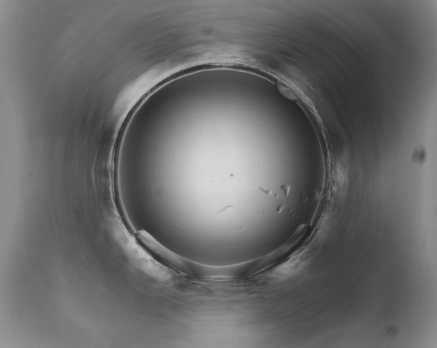 X0000111931343200907271304