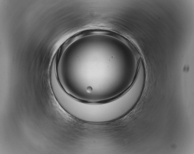 X0000111931344200907271304